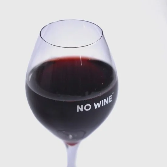 NO WINE 写真 4